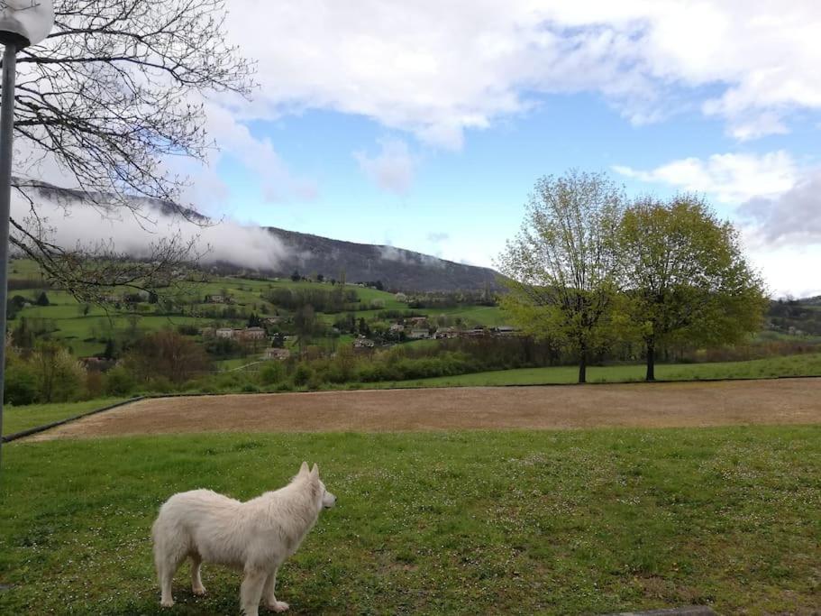 Logement Standing Wifi Vercors 'In Saint-Jean-en-Royans Εξωτερικό φωτογραφία